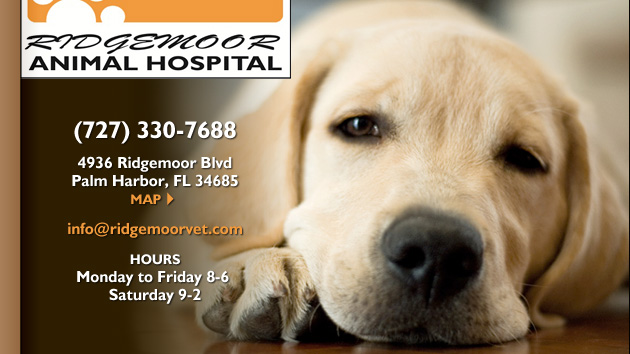 Ridgemoor Animal Hospital